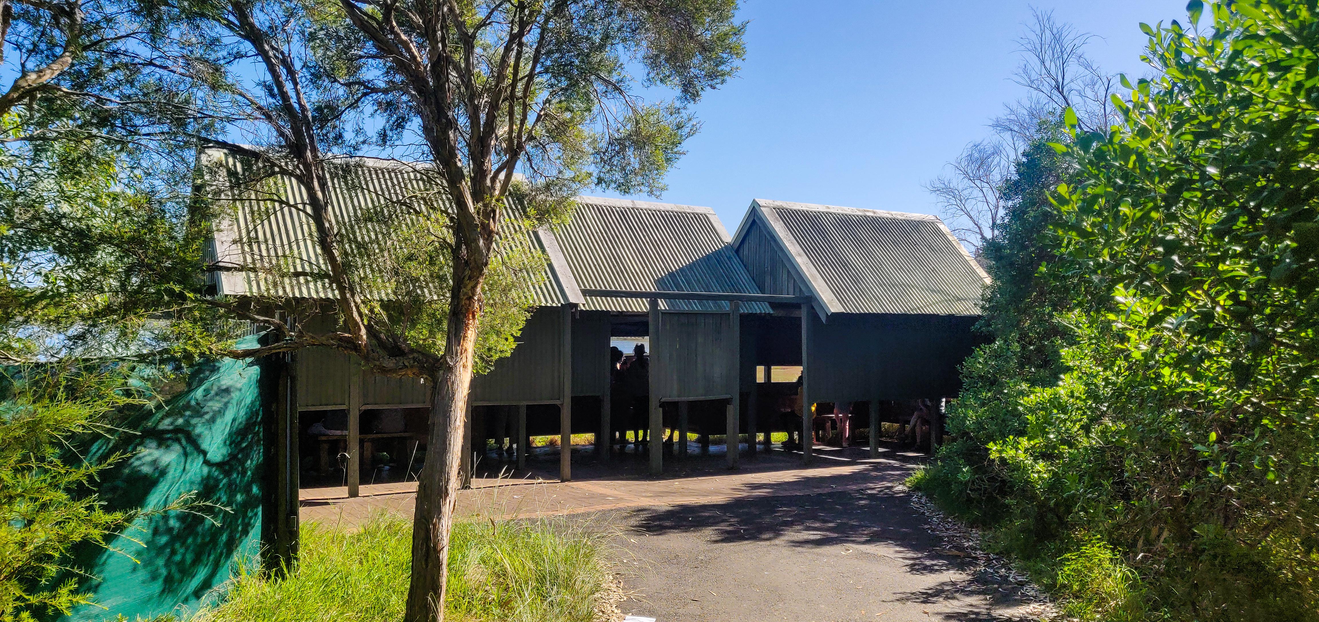 Bird Hide